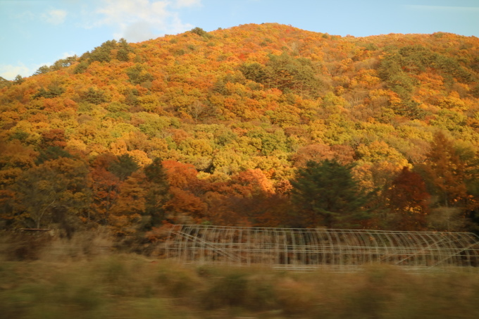 f0345263_20500105.jpg