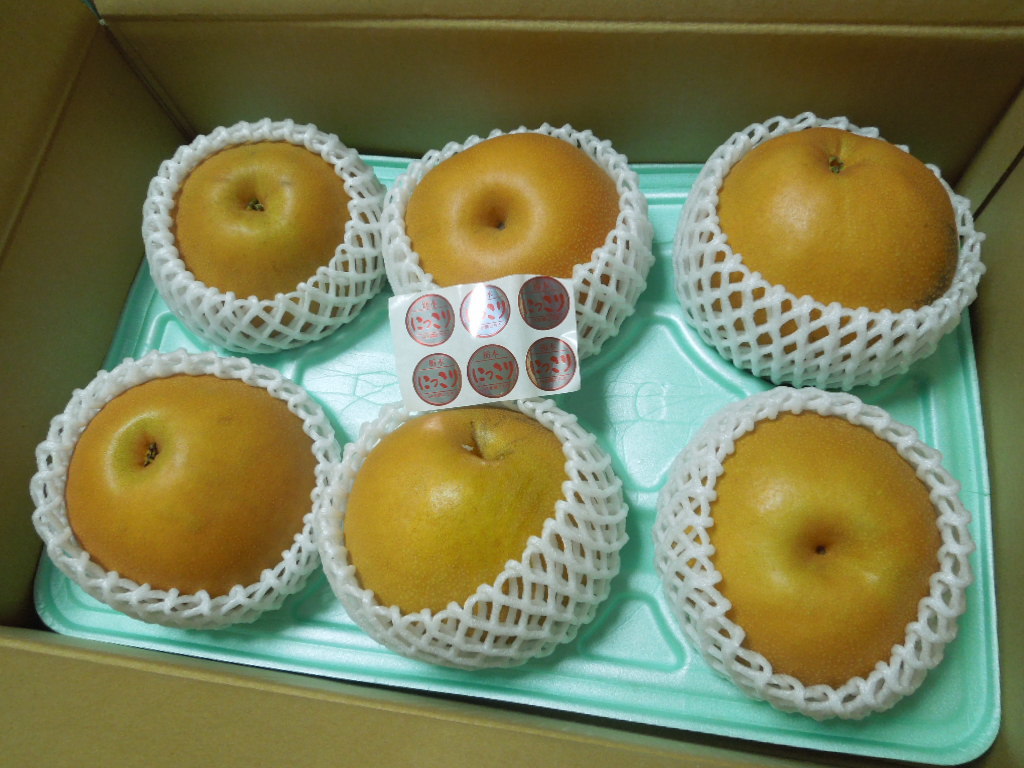 e0107171_08435155.jpg