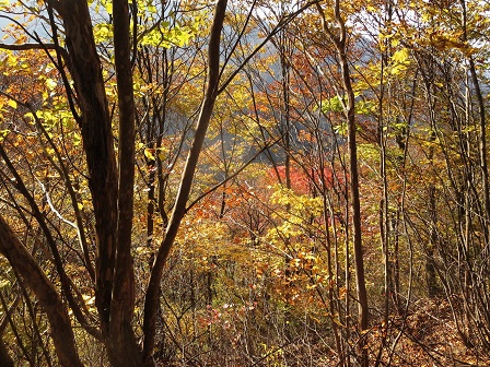 f0302771_1453510.jpg