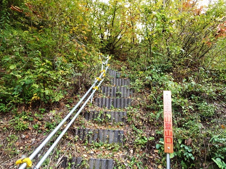 f0302771_8565739.jpg