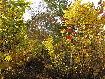 f0302771_857724.jpg
