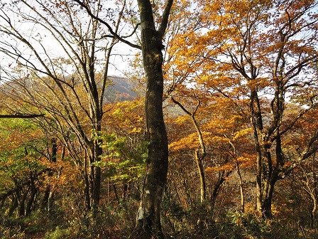 f0302771_858288.jpg