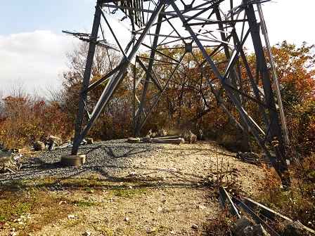 f0302771_9144893.jpg