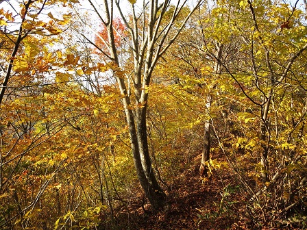 f0302771_915425.jpg