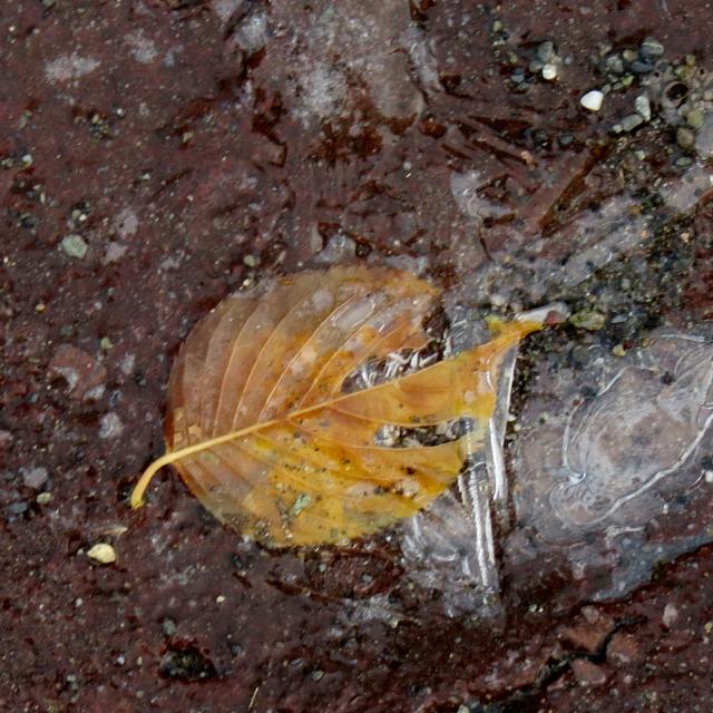 c0183777_9581685.jpg