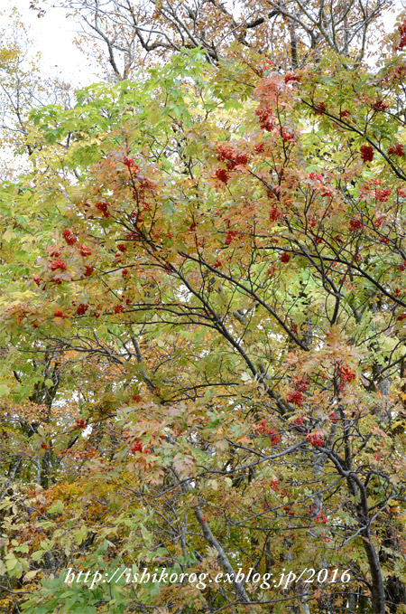 a0223379_1085811.jpg