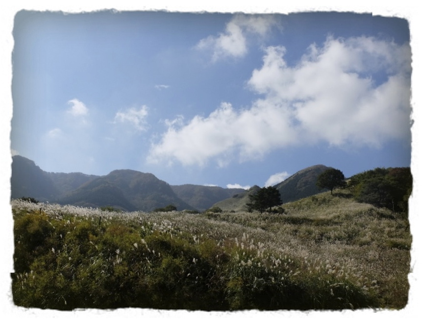 c0345081_6343726.jpg
