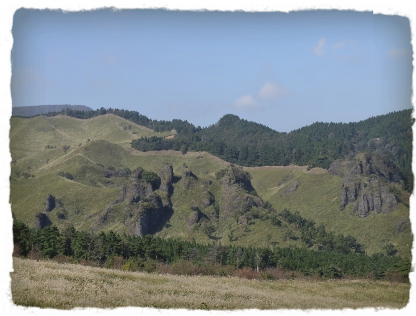 c0345081_6345517.jpg