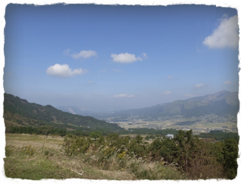 c0345081_635081.jpg