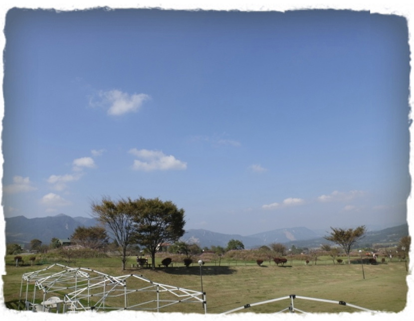 c0345081_6361698.jpg
