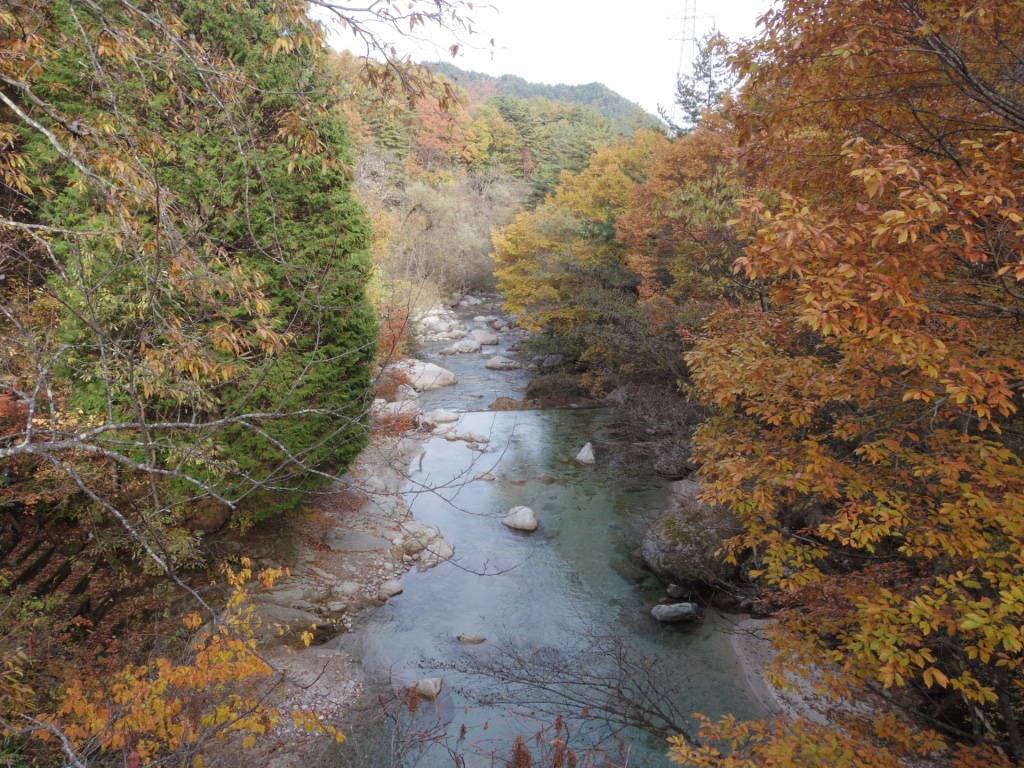 a0034487_17281338.jpg