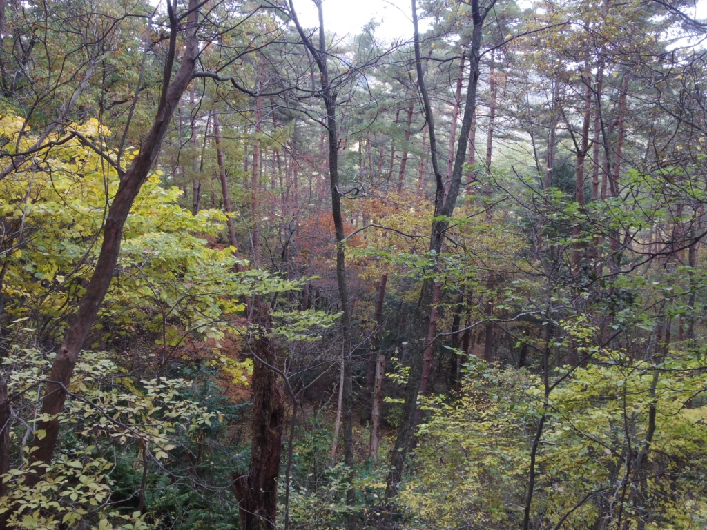 a0034487_17343790.jpg