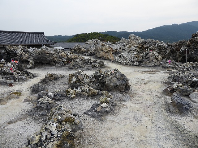 b0287088_1736774.jpg