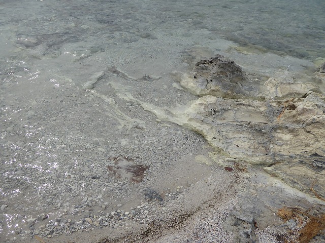 b0287088_2092996.jpg
