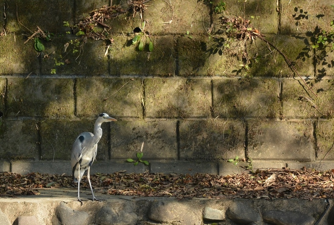 e0353790_07304255.jpg