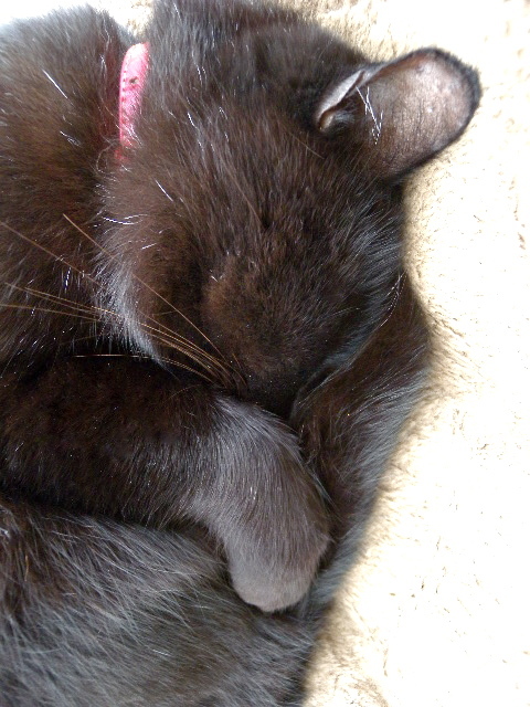 a0199297_20285620.jpg