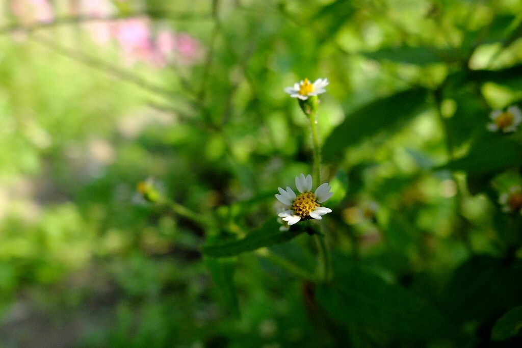 e0304001_21310913.jpg