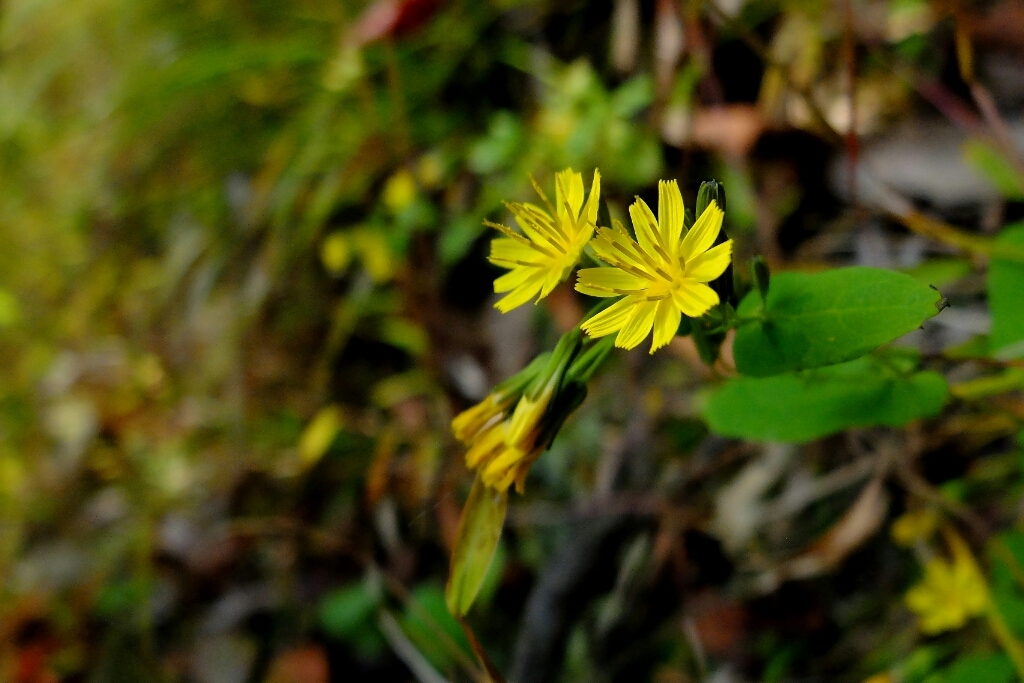 e0304001_21312841.jpg