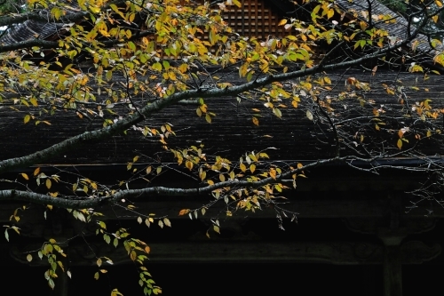 e0304001_21443516.jpg