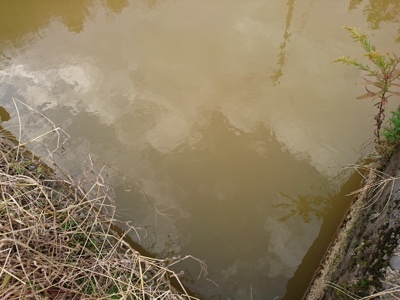 f0082402_12384822.jpg