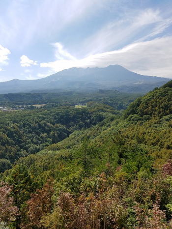 d0027711_1733087.jpg