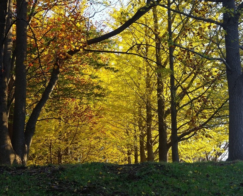 d0147812_17315670.jpg