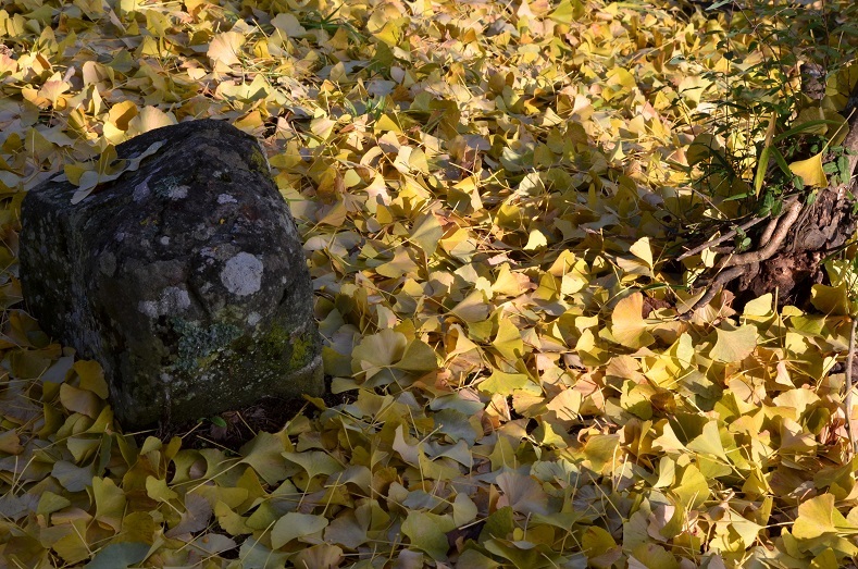 e0349817_21220050.jpg