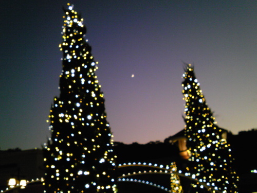 b0285619_22451792.jpg