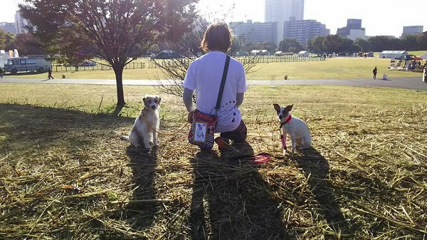 e0190220_11144691.jpg