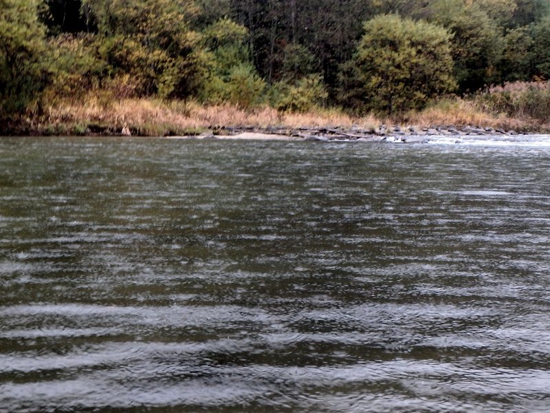 d0091323_11225816.jpg