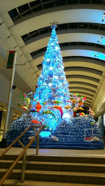 f0106823_12552654.jpg