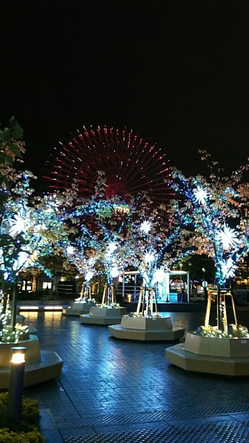 f0106823_12553084.jpg