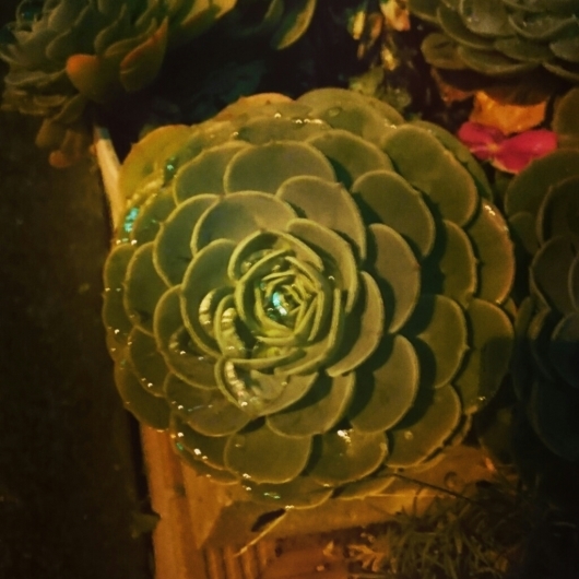 b0003126_02253353.jpg