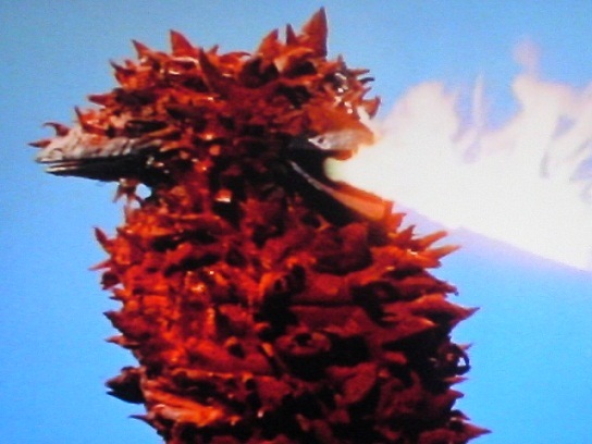 f0133526_14465219.jpg