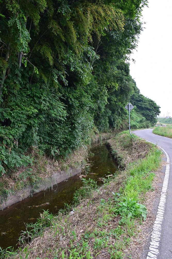 e0158128_22123650.jpg
