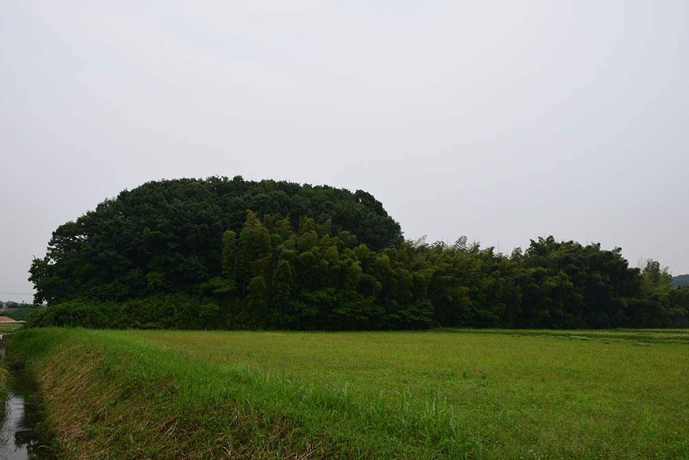 e0158128_22124232.jpg