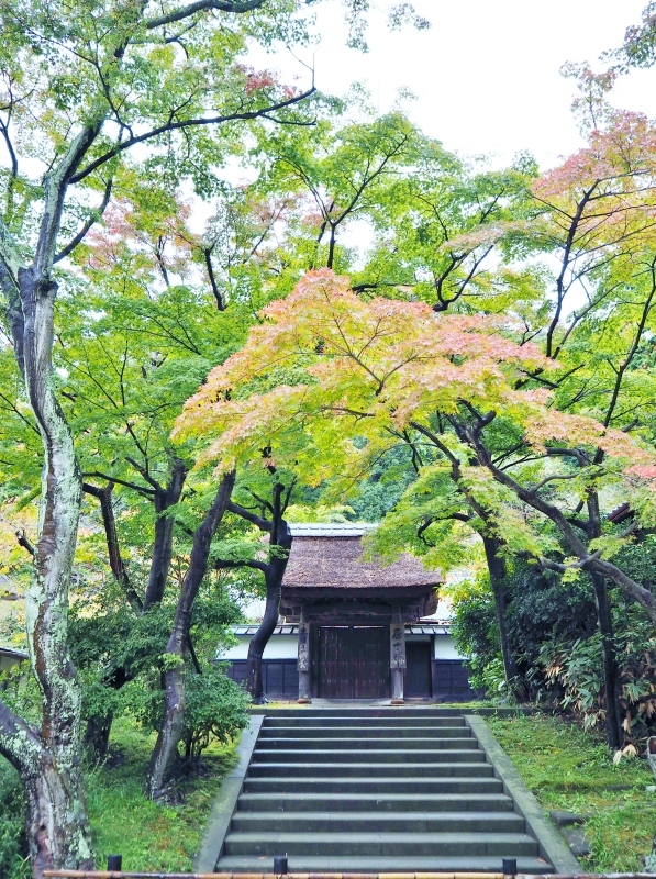 a0230831_21294741.jpg