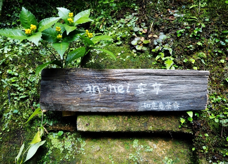 a0230831_21311727.jpg