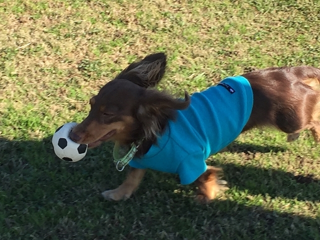 c0117831_20061195.jpg