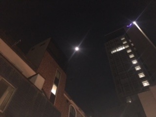 b0040332_2373620.jpg