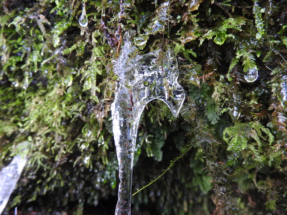 f0118332_23301519.jpg