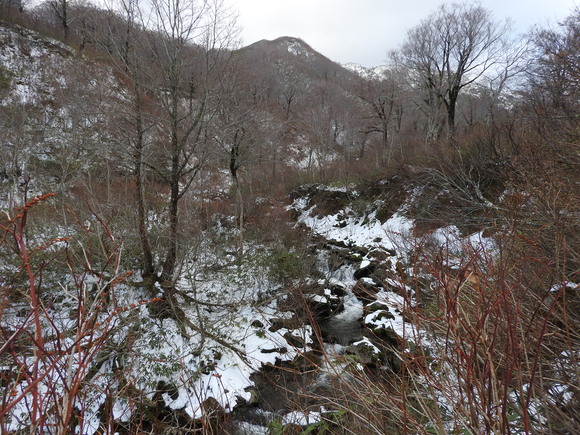 f0118332_23313137.jpg