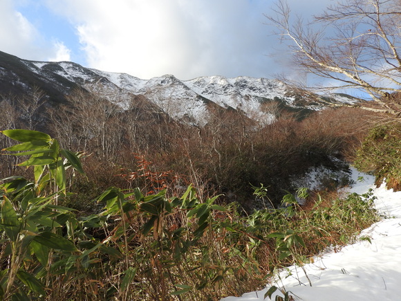 f0118332_2331531.jpg