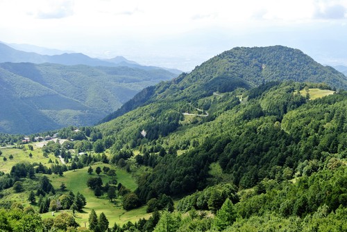 d0170835_5421813.jpg