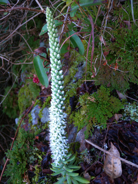 e0272335_18373577.jpg