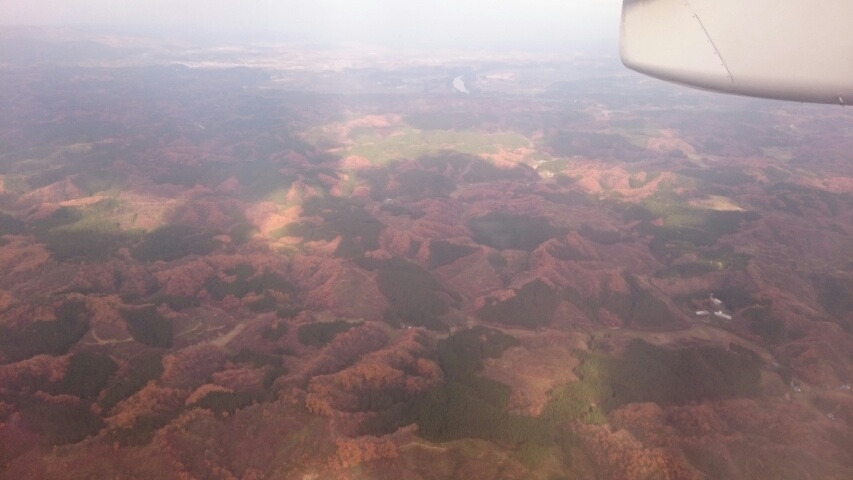 c0167336_11253823.jpg