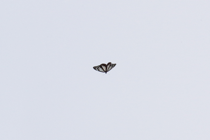 b0247838_14505455.jpg