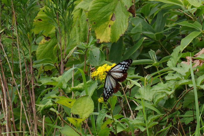 b0247838_14521498.jpg