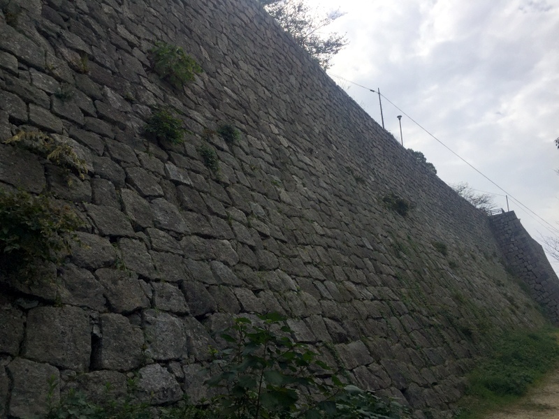 b0057140_21451183.jpg