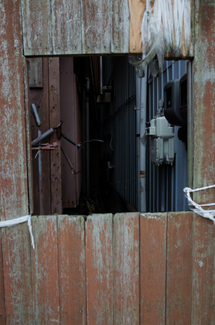 a0087341_21453827.jpg